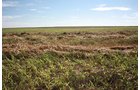 Property photo 60 - LAND AUCTION, 3255+/- Acres offered in 13 Tracts